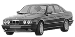 BMW E34 C212A Fault Code